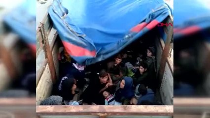 Çanakkale'de 77 kaçak göçmen yakalandı, 1 organizatör tutuklandı