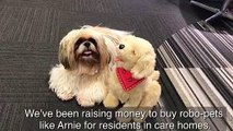 Robo-dogs are tackling loneliness in Lancashire's care homes