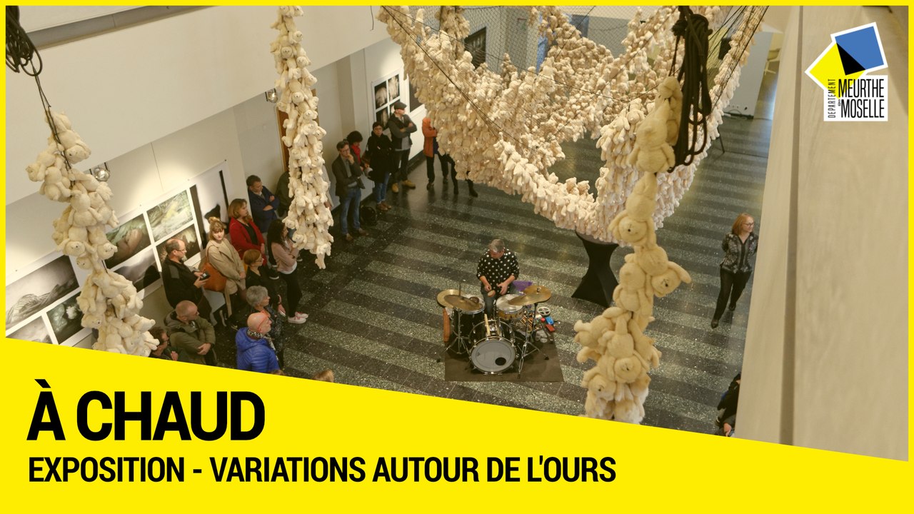 [A CHAUD] - Variations autour de l’Ours