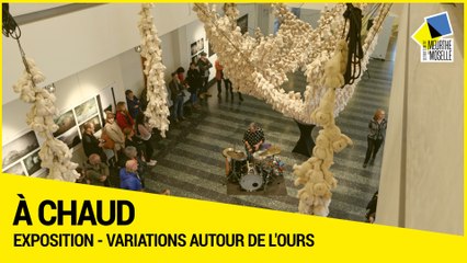 [A CHAUD] - Variations autour de l’Ours