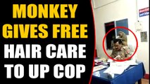 Monkey sits on UP Cop's Shoulder, gives him free hair care, video goes viral | OneIndia News