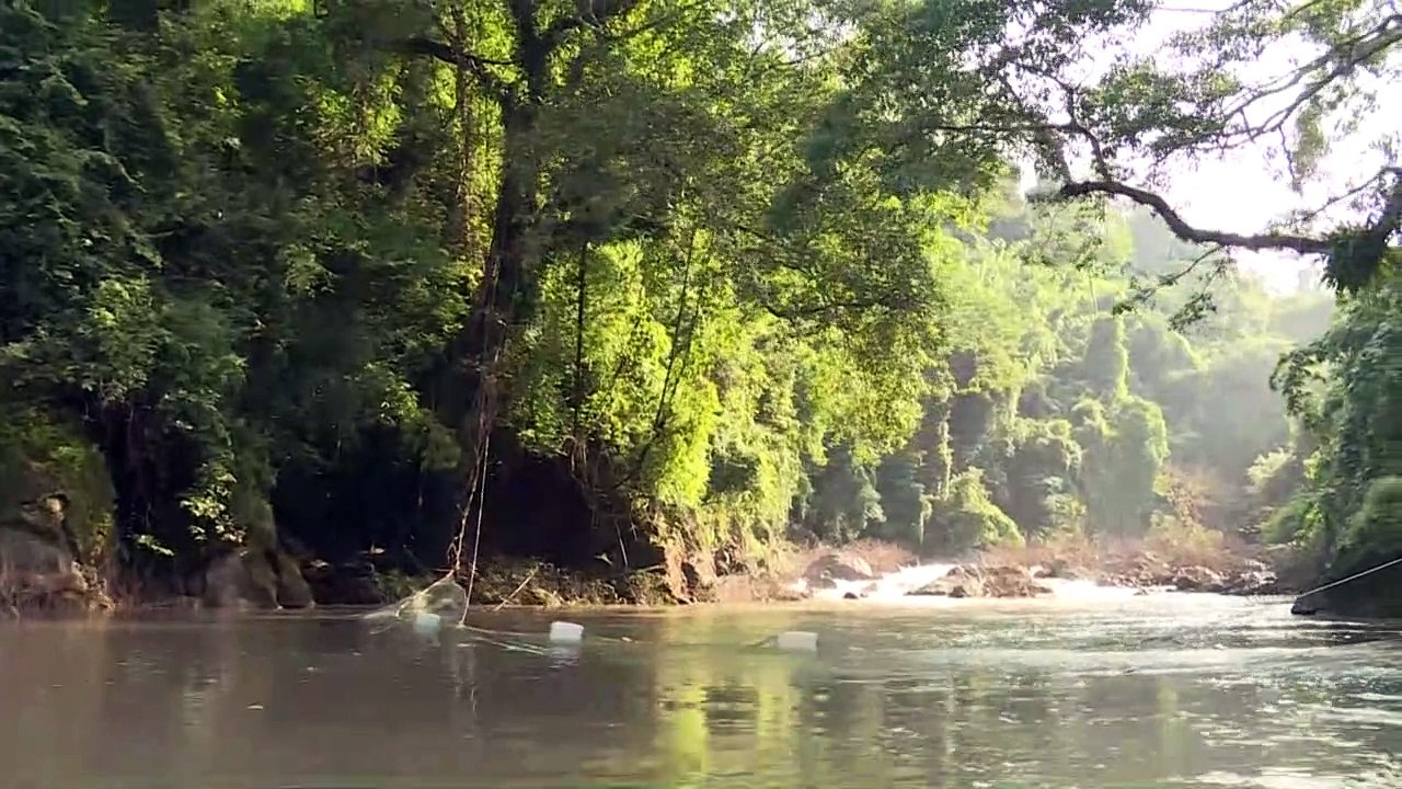 Weitere elefanten bei wasserfall-drama ertrunken