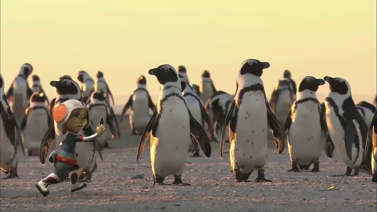 Penguins. Animals for children