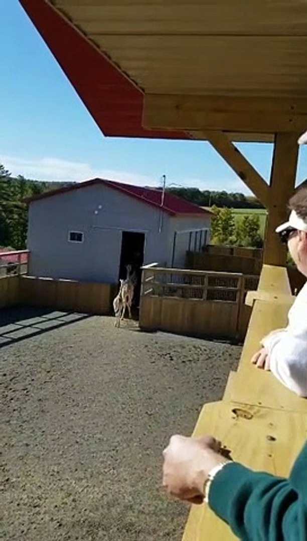 ⁣April and Azizi the Giraffe