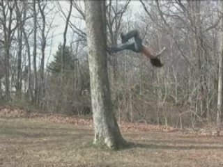Backflip sur un arbre