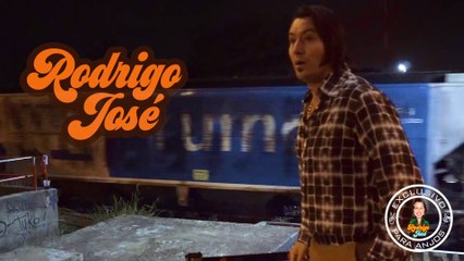 Eu não sou cachorro não | Anjos Chic10