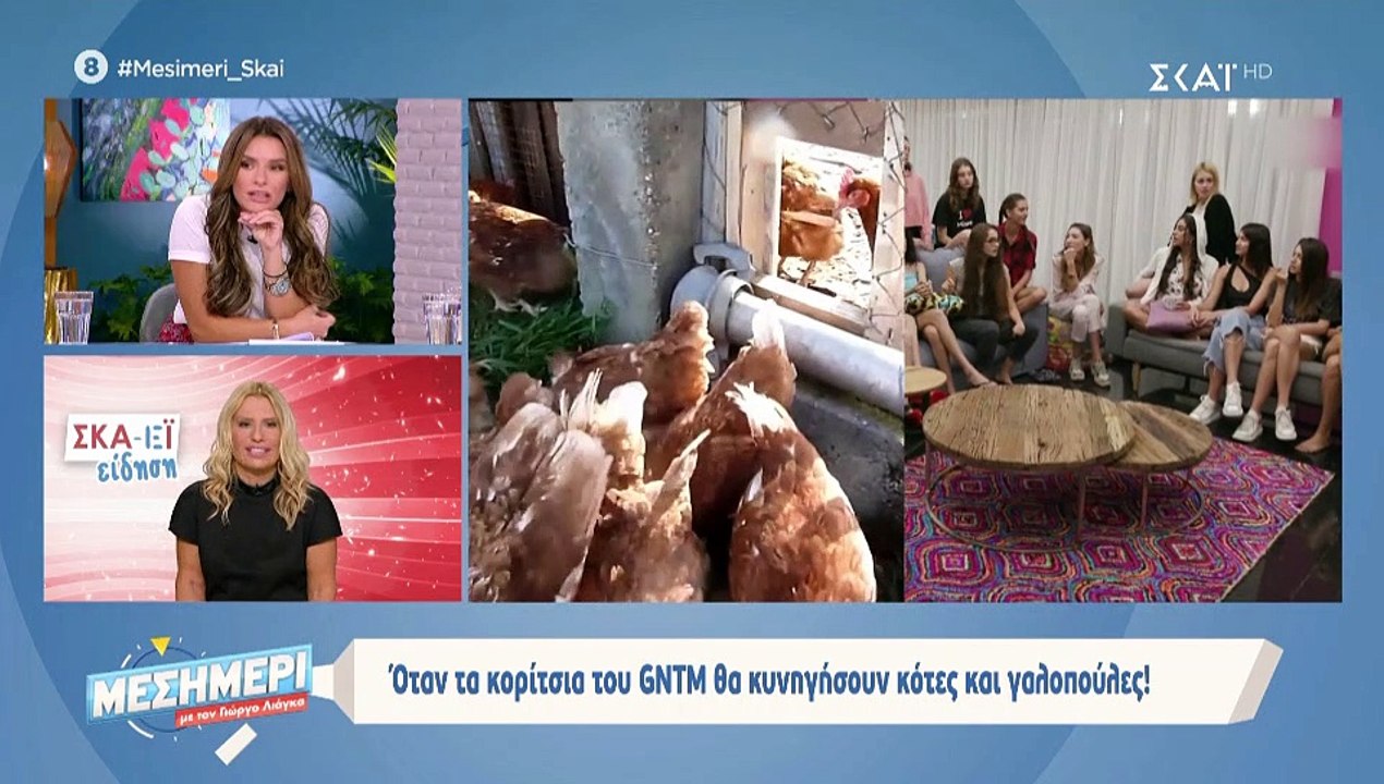 GNTM: Άγριο ξεκατίνιασμα – Η καταγγελία για bullying και η αποχώρηση των κριτών από το ριάλιτι!
