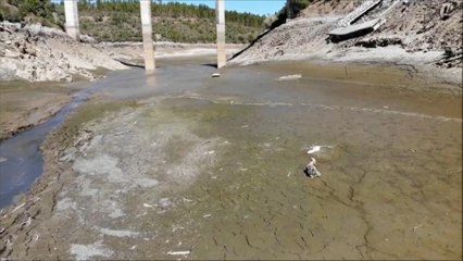 Spain accused of stealing Portugal's water by environmental group