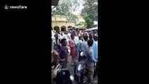 Monkey snatches bag filled with money and starts raining it down on people in north India