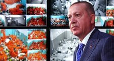 Son Dakika: Erdoğan, Suriye'deki tutuklu DEAŞ'lılar için güvence verdi: Gereken neyse onu yapacağız