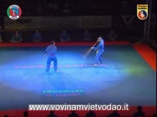 VOVINAM - Martial Arts Night 2006