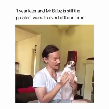 Attendez la fin ! Ce chien est un sacré numero... Son visage vous fera rire aux éclats