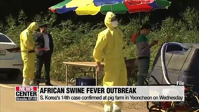 14th African swine fever confirmed in Yeoncheon on Wednesday, gov't discuss tighter quarantine measures