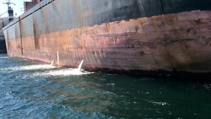 İzmit Körfezi'ni kirleten gemiye 1 milyon 772 bin TL'lik ceza