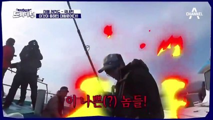 [스페셜] 도시어부 대물 레전드 '국내편'