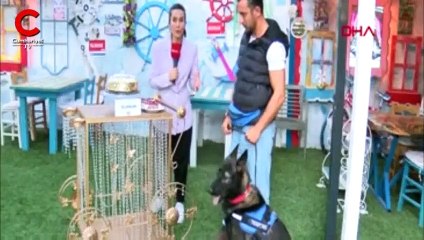 Türkiye'nin en pahalı pastası