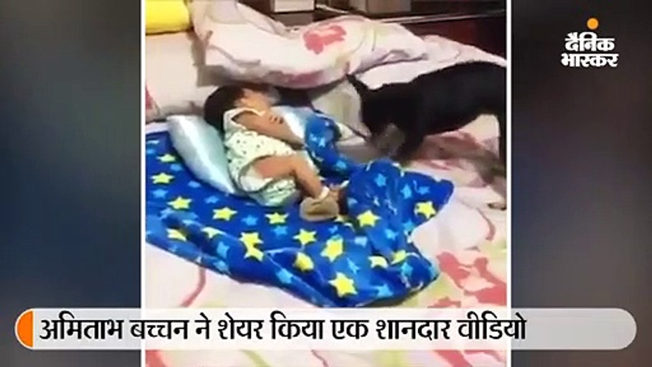 बच्चे और डॉगी का वीडियो शेयर कर बोले बिग बी- यह ऐसा कैसे कर सकता है?