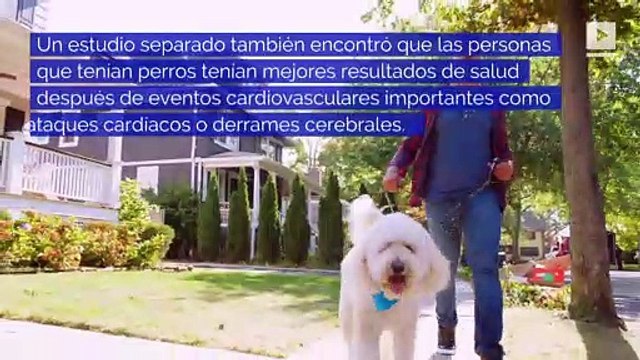 Tener un perro puede reducir el riesgo de muerte prematura