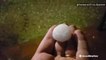 Hail pings off ground as intense hail storm strikes Argentina