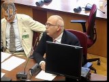 Roma - Audizioni su iniziative a sostegno settore agrumicolo (10.10.19)