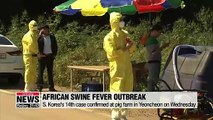 14th African swine fever confirmed in Yeoncheon on Wednesday, gov't discuss tighter quarantine measures