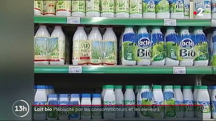 Lait bio : une filière plébiscitée par les consommateurs et adoptée par les exploitants