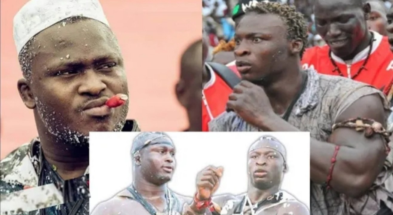 Modou Lô vs Ama Baldé démarché par Luc Nicolaï, le camp de Mod'Lô confirme... revue de presse