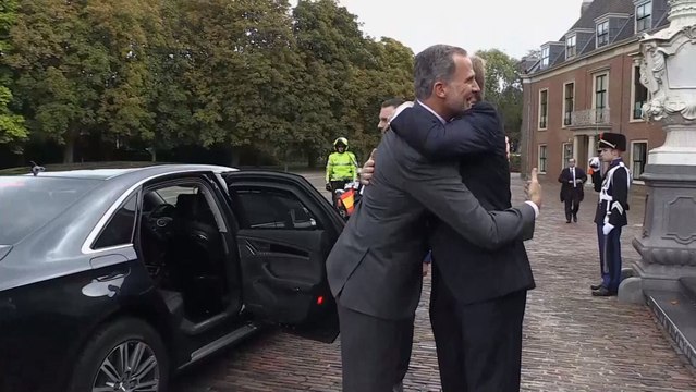 Guillermo de Holanda ha recibido a Felipe VI con un cariñoso abrazo
