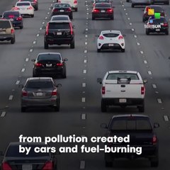 Unborn babies exposed to air pollution