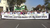 Unos 8.000 olivareros se manifiestan en Madrid