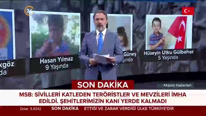 Tel Abyad ve Resulayn'da kurtarılan köy sayısı 11'e yükseldi