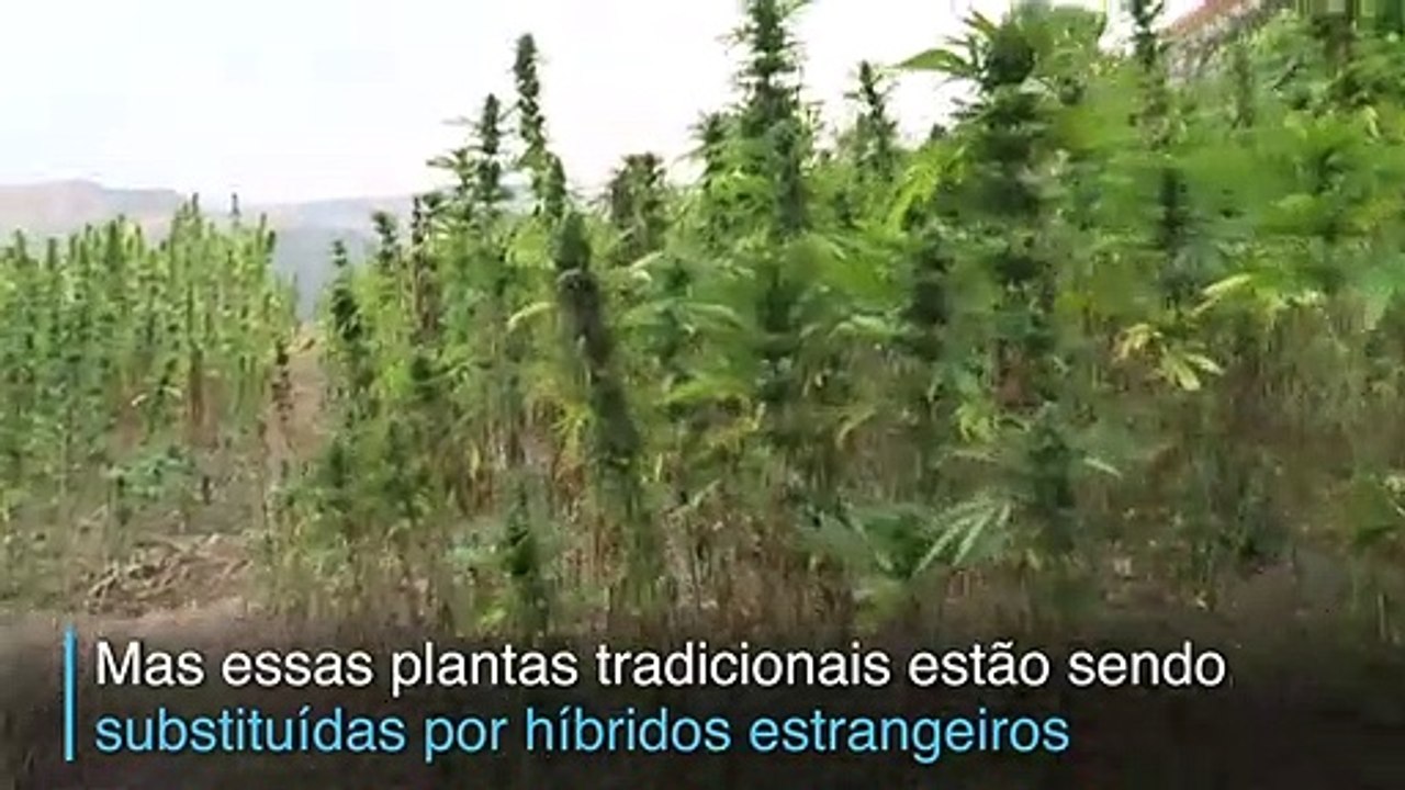 Perdendo o posto
