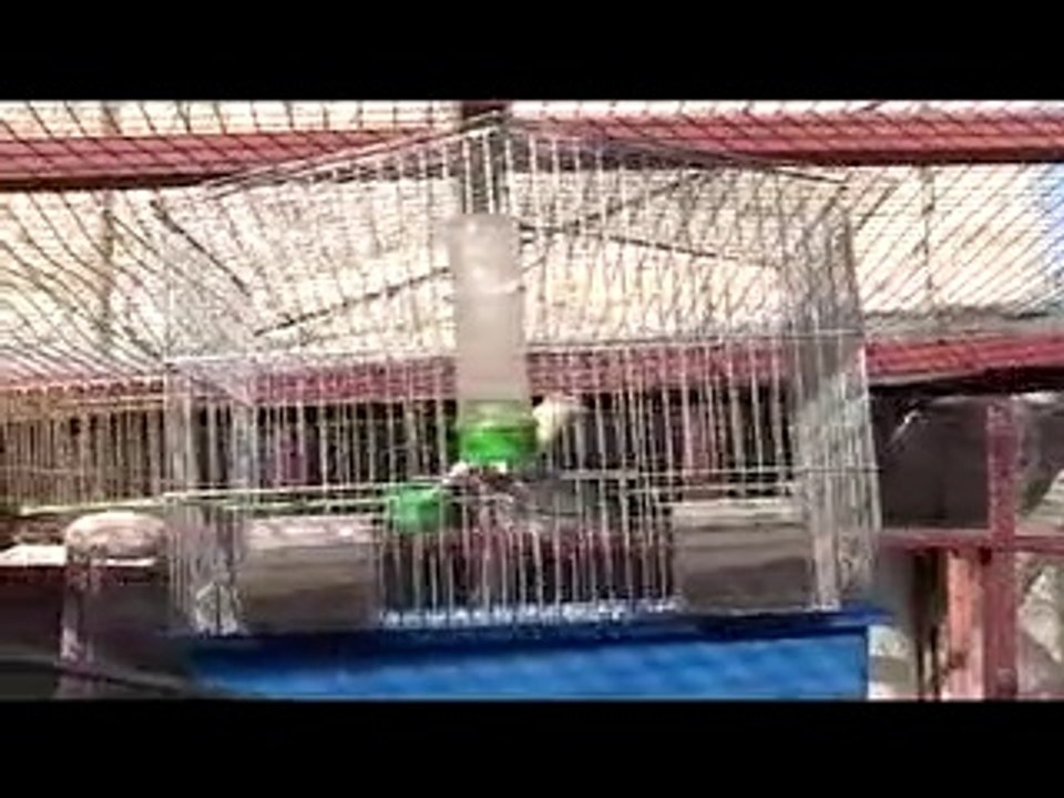 Palestine "Hébron vivre la ville " 1er partie