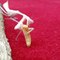 Praying Mantis Feeds On Worm