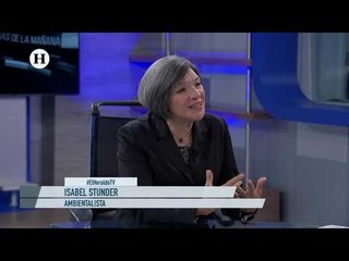 Quedan 10 años para revertir el cambio climático: Isabel Stunber