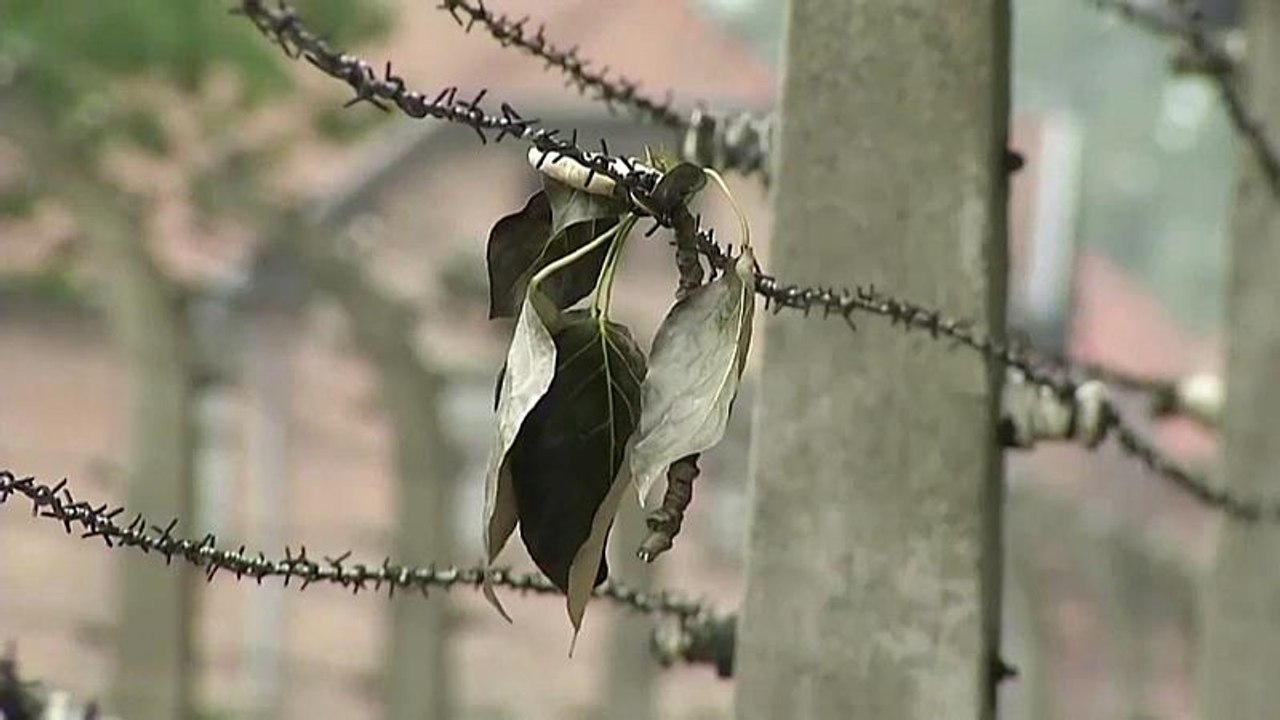 Nueva restauración de Auschwitz
