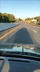 Avez-vous déjà vu une voiture courir?...