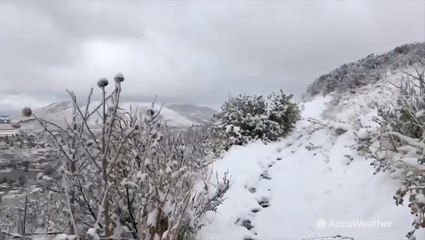 First snow day of the early season blankets Apex Park
