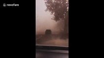 Terrifying high winds in California amid power outages