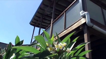 Patio and Deck Builder - 10 steps to your dream