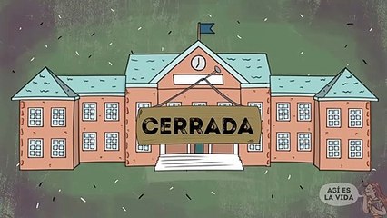 Mi pesadilla australiana (¡una alerta de araña y tiburón!)