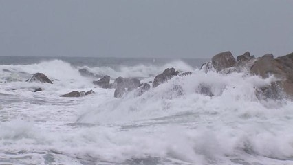 태풍 '하기비스' 일본으로 향했지만...동해안에 강풍·너울 / YTN