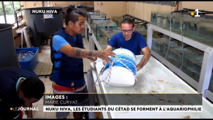 Le CETAD de Nuku Hiva forme aux métiers de l’aquaculture