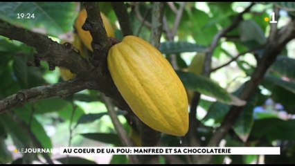 Au cœur du fenua : le chocolat de Ua Pou
