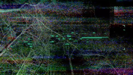 Grita te estamos filmando Tráiler