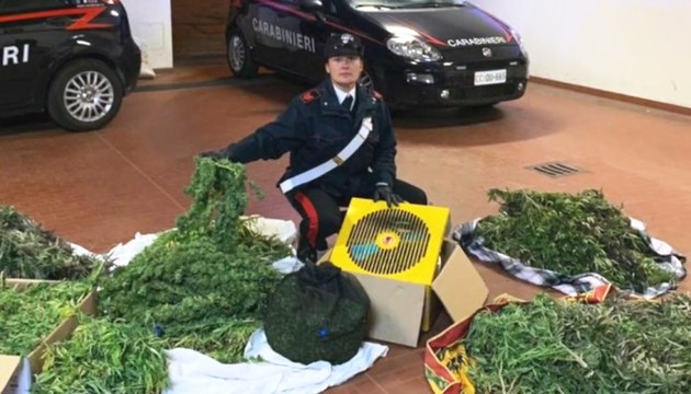 Cinzano (TO) - Coltivano marijuana in un maneggio: 2 arresti (11.10.19)