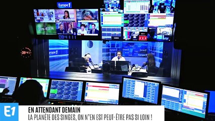 La planète des singes, on n’en est peut-être pas si loin !