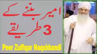 Ameer Maldar Bannay Kay 3 Tarikay   Peer Zulfiqar Ahmad Nakshbandi