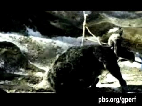 GREAT PERFORMANCES | Peter & the Wolf | Post-Production |PBS