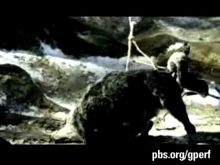 GREAT PERFORMANCES | Peter & the Wolf | Post-Production |PBS